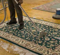 Cleaning Rugs