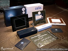 CEIVA Pro 80 and CEIVAshare Combo Pack