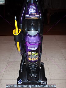 Eureka Pet Pal Bagless Vacuum