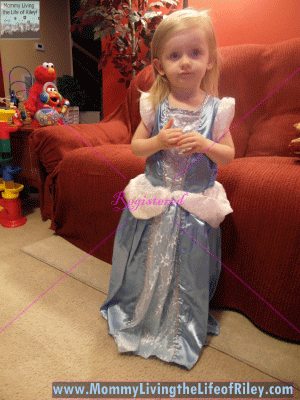 The Princess Dress Cinderella with Glovelets Dress