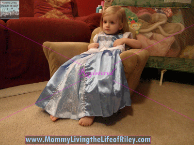 The Princess Dress Cinderella with Glovelets Dress