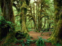 Olympic National Park