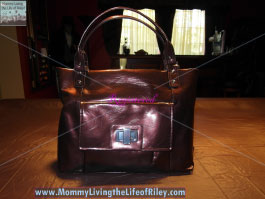 Amy Michelle Cosmo Diaper Bag in Pearlized Chocolate