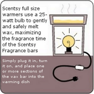 Scentsy Lightbulb