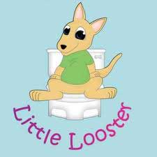 Little Looster