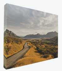 44wide Gallery-Wrapped Canvas