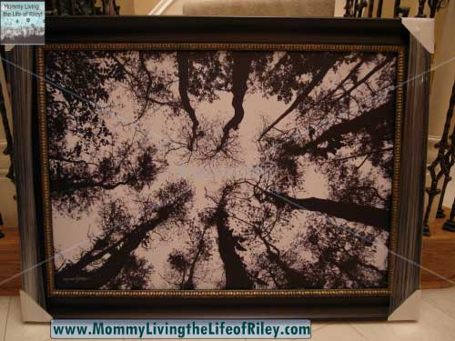 GalleryDirect.com Framed Wall Art - Standing High by Michael Joseph