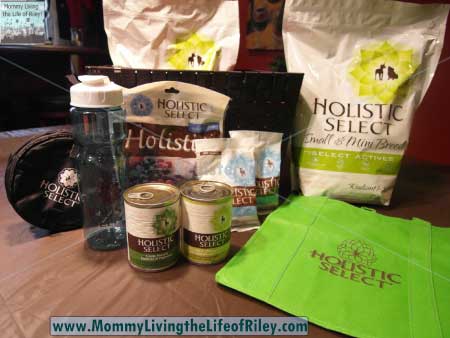 Holistic Select Healthy Pet Basket