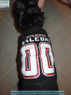 Pet Super Store NFL Dog Jersey - Atlanta Falcons