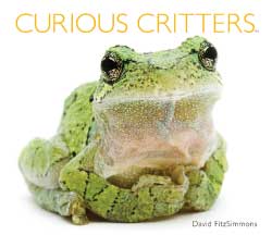 Curious Critters by David FitzSimmons