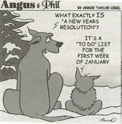 New Year's Resolutions