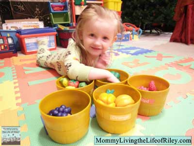 Learning Resources Farmer's Market Color Sorting Set