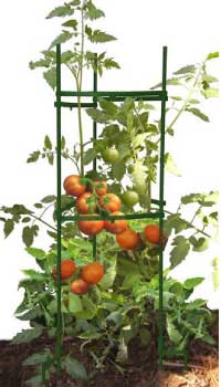 Stake-It-Easy Plant Staking from AvantGardenDecor.com