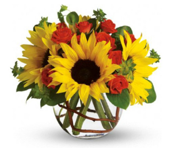 Teleflora Sunny Sunflowers