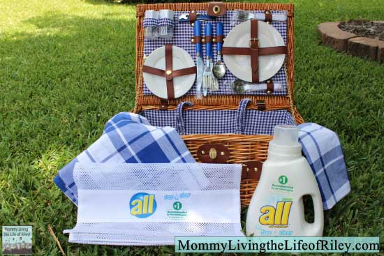 all free clear Allergen Removal Picnic Prize Pack