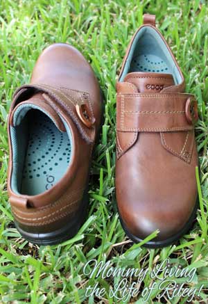ECCO Clay Strap Shoes in Cocoa Brown