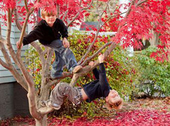 Climbing a tree