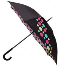 End Your Search for the Best Umbrella at Cheeky Umbrella