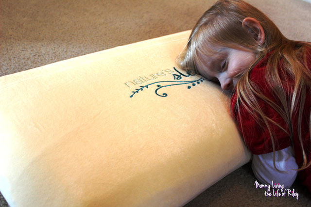 Nature's Sleep Memory Foam Pillow